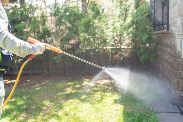 Best Lawn Pest Control  in Three Oaks, MI